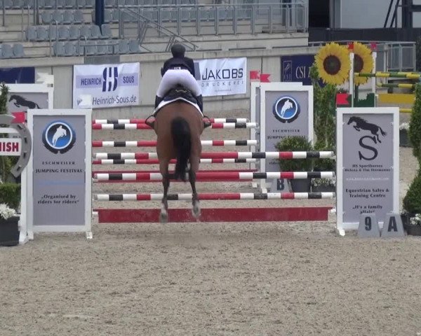 FEI Reitturnier Aachen (GER) 2016