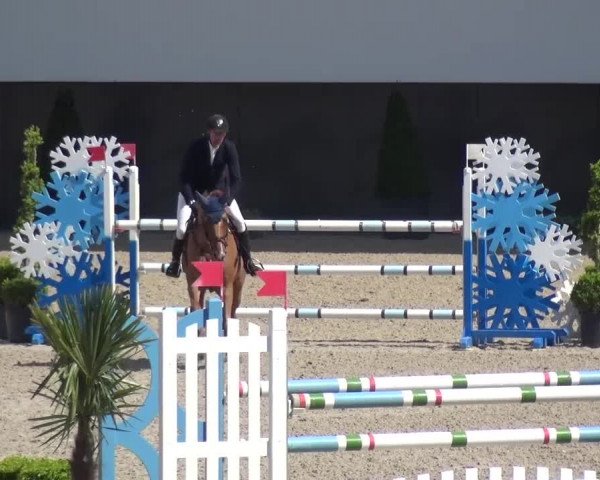 FEI Reitturnier Aachen (GER) 2016