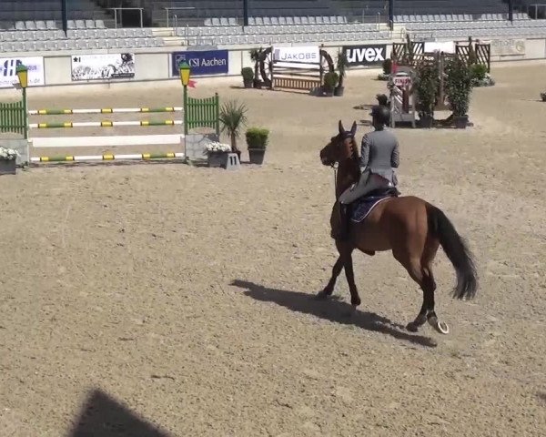 FEI Reitturnier Aachen (GER) 2016