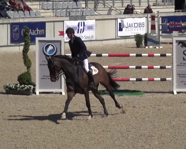 FEI Reitturnier Aachen (GER) 2016