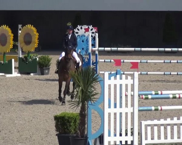 FEI Reitturnier Aachen (GER) 2016