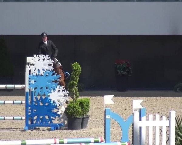 FEI Reitturnier Aachen (GER) 2016