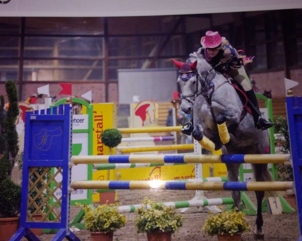 jumper Cleques des Lüs (Holsteiner, 2010, from Corrado I)