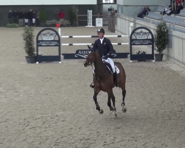 FEI Reitturnier Aachen (GER) 2016