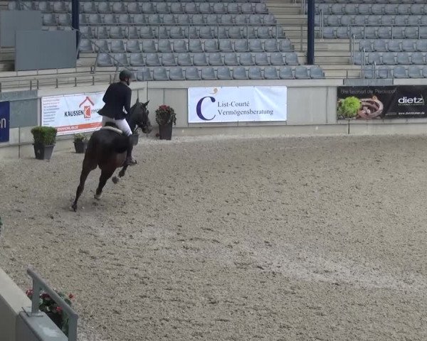 FEI Reitturnier Aachen (GER) 2016