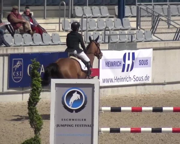 FEI Reitturnier Aachen (GER) 2016