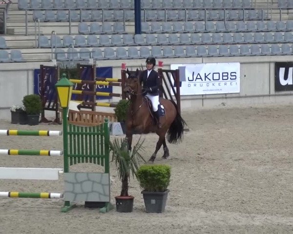 FEI Reitturnier Aachen (GER) 2016