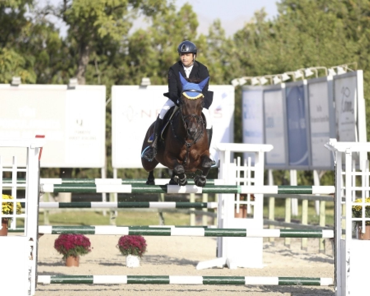 jumper Carlito Rk (KWPN (Royal Dutch Sporthorse), 2007, from Darco)
