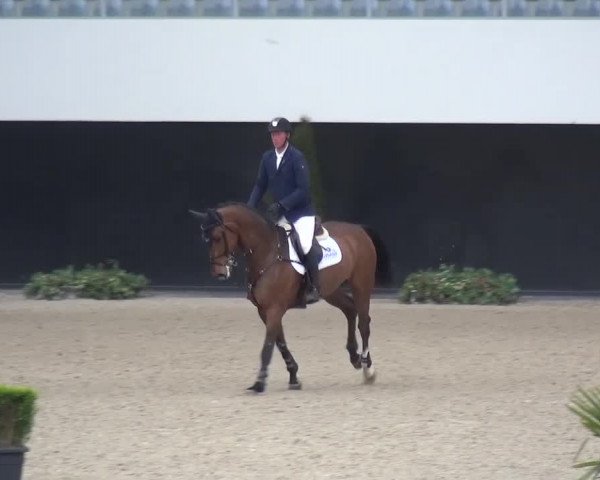 FEI Reitturnier Aachen (GER) 2016