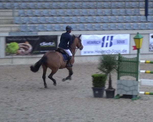 FEI Reitturnier Aachen (GER) 2016