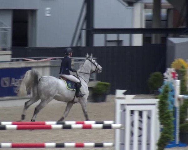 FEI Reitturnier Aachen (GER) 2016