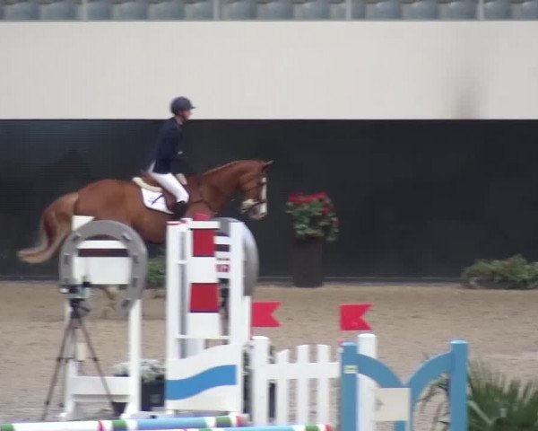 FEI Reitturnier Aachen (GER) 2016