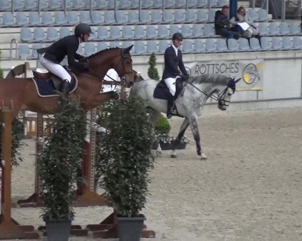 FEI Reitturnier Aachen (GER) 2016