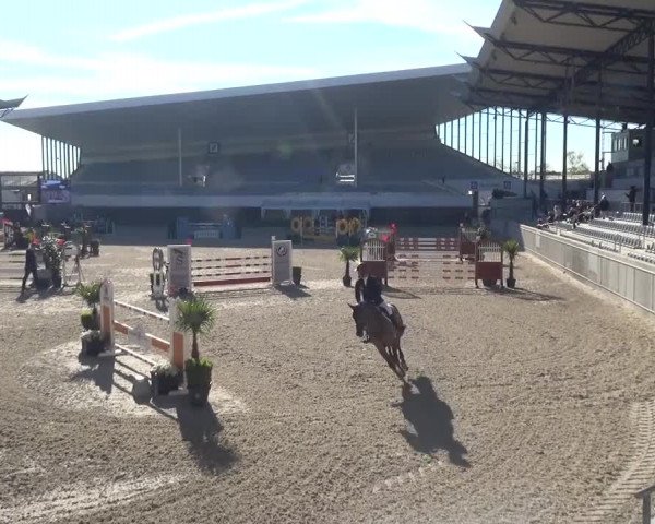 FEI Reitturnier Aachen (GER) 2016