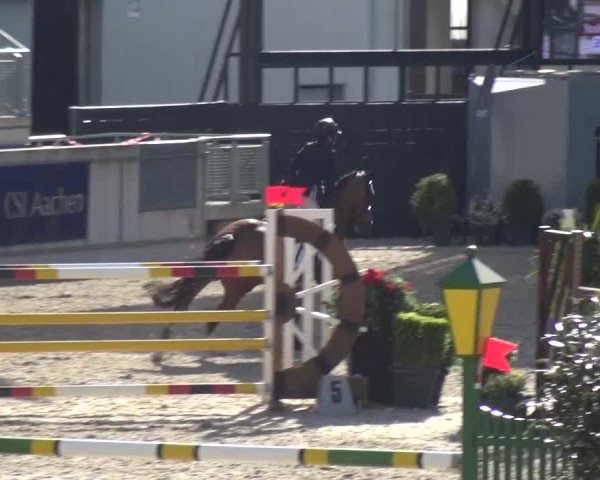 FEI Reitturnier Aachen (GER) 2016