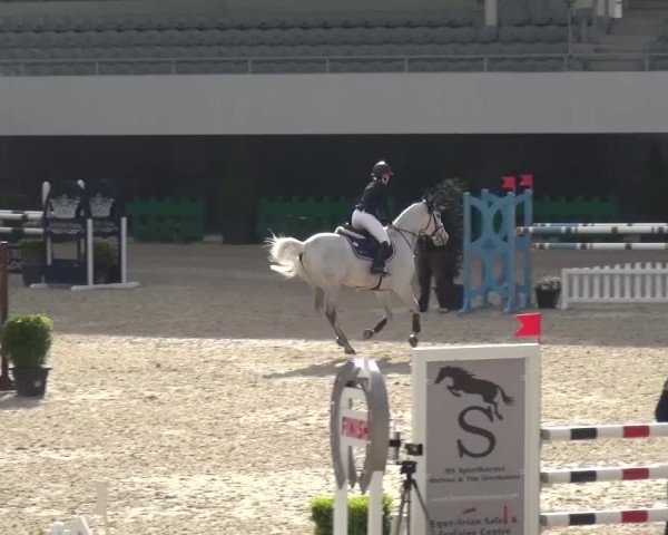FEI Reitturnier Aachen (GER) 2016