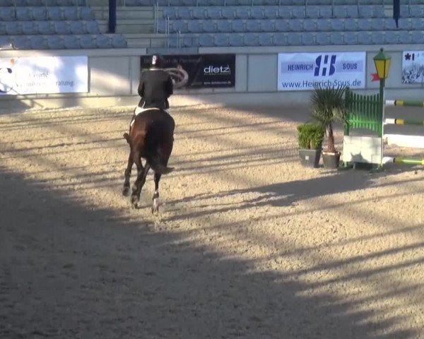 FEI Reitturnier Aachen (GER) 2016