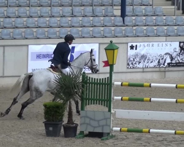 FEI Reitturnier Aachen (GER) 2016