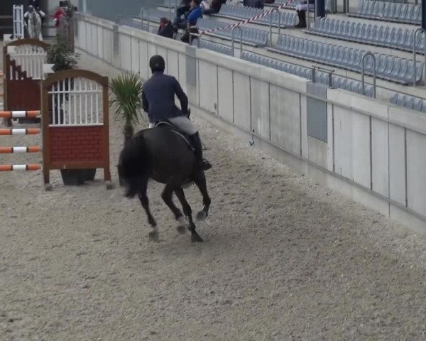 FEI Reitturnier Aachen (GER) 2016