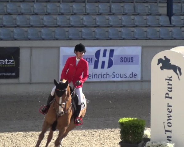 FEI Reitturnier Aachen (GER) 2016
