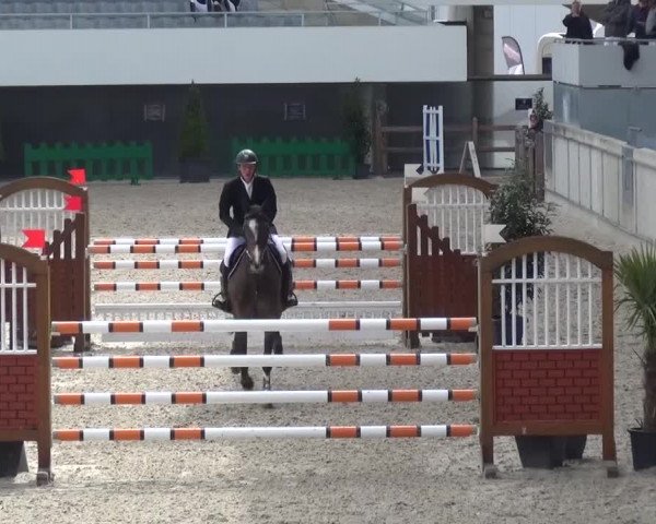 FEI Reitturnier Aachen (GER) 2016