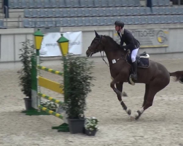 FEI Reitturnier Aachen (GER) 2016