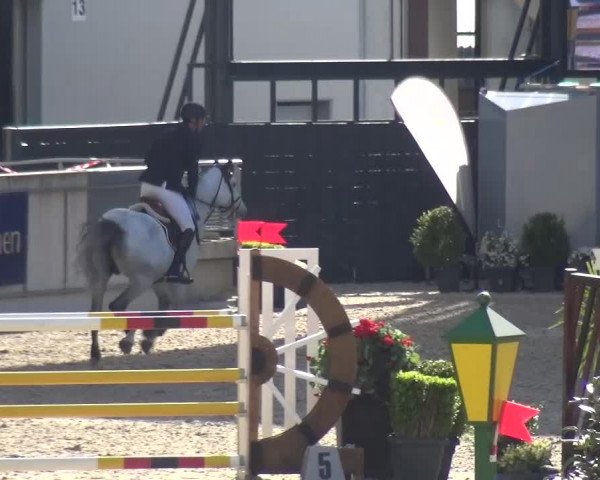 FEI Reitturnier Aachen (GER) 2016