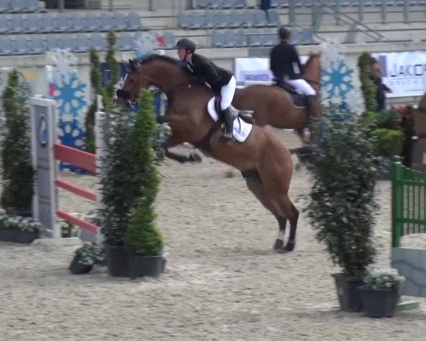 FEI Reitturnier Aachen (GER) 2016