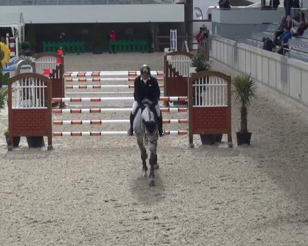 FEI Reitturnier Aachen (GER) 2016