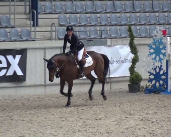 FEI Reitturnier Aachen (GER) 2016
