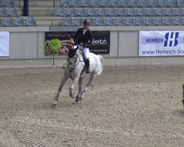 FEI Reitturnier Aachen (GER) 2016