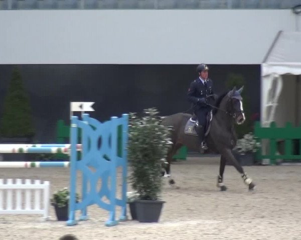 FEI Reitturnier Aachen (GER) 2016