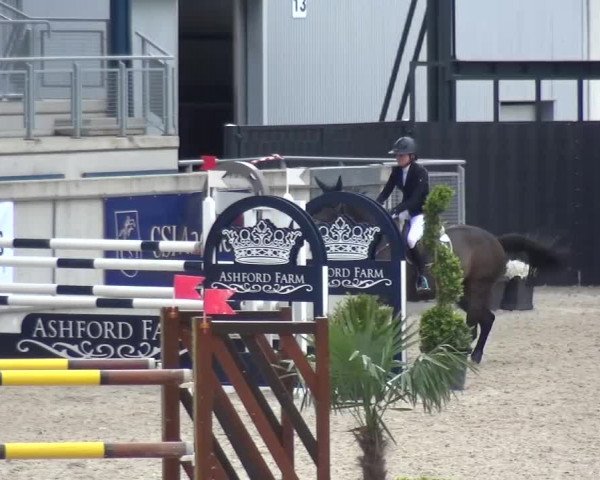 FEI Reitturnier Aachen (GER) 2016