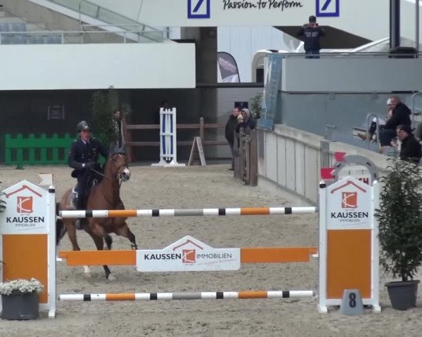 FEI Reitturnier Aachen (GER) 2016