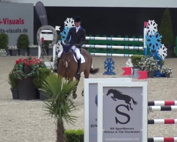 FEI Reitturnier Aachen (GER) 2016