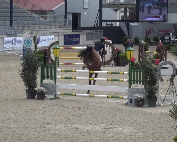 FEI Reitturnier Aachen (GER) 2016