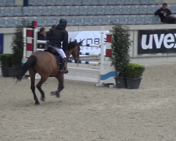 FEI Reitturnier Aachen (GER) 2016