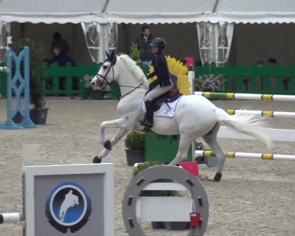 FEI Reitturnier Aachen (GER) 2016
