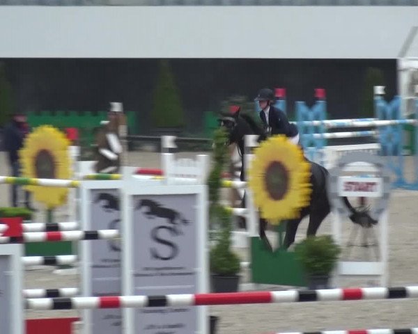 FEI Reitturnier Aachen (GER) 2016