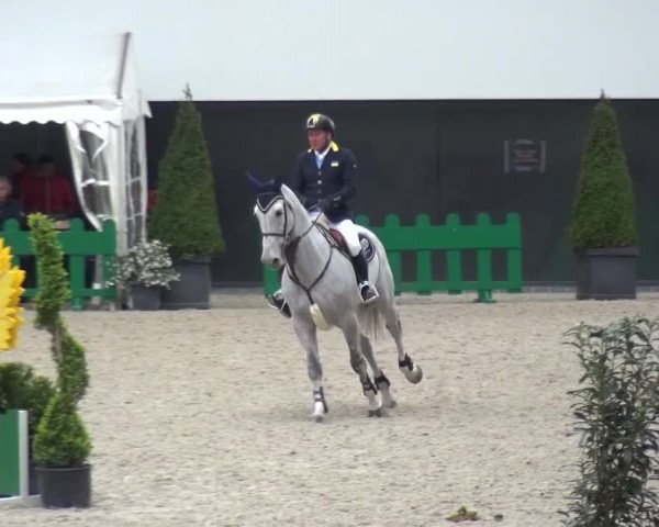FEI Reitturnier Aachen (GER) 2016