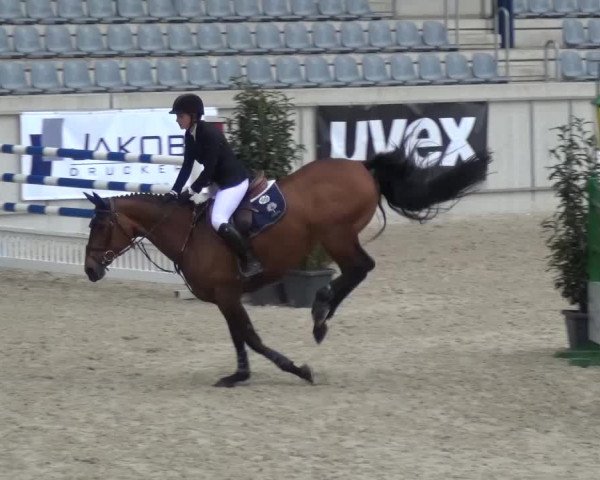 FEI Reitturnier Aachen (GER) 2016