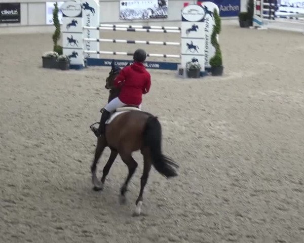 FEI Reitturnier Aachen (GER) 2016