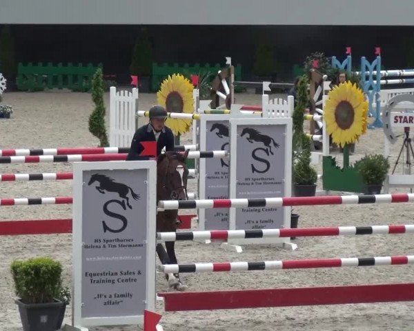 FEI Reitturnier Aachen (GER) 2016