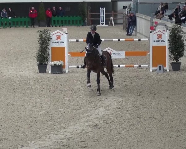 FEI Reitturnier Aachen (GER) 2016