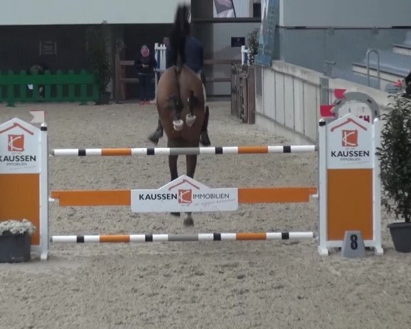 FEI Reitturnier Aachen (GER) 2016