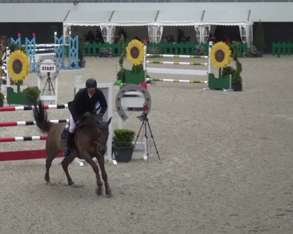 FEI Reitturnier Aachen (GER) 2016