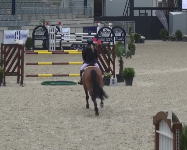 FEI Reitturnier Aachen (GER) 2016