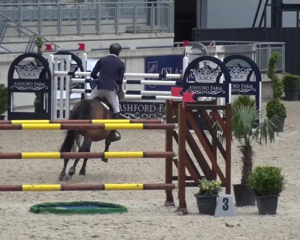 FEI Reitturnier Aachen (GER) 2016