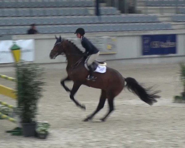 FEI Reitturnier Aachen (GER) 2016