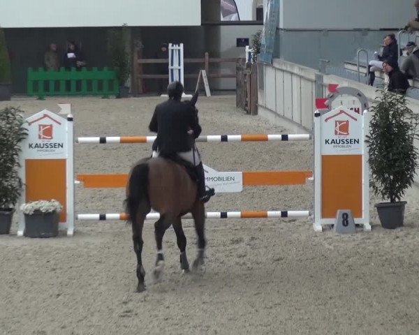 FEI Reitturnier Aachen (GER) 2016